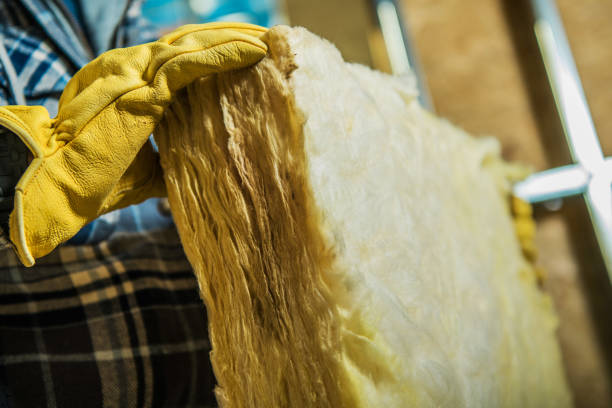 Best Professional Insulation Contractor  in Dunnavant, AL